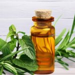 Aceite Esencial Árbol de té
