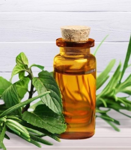 Aceite Esencial Árbol de té